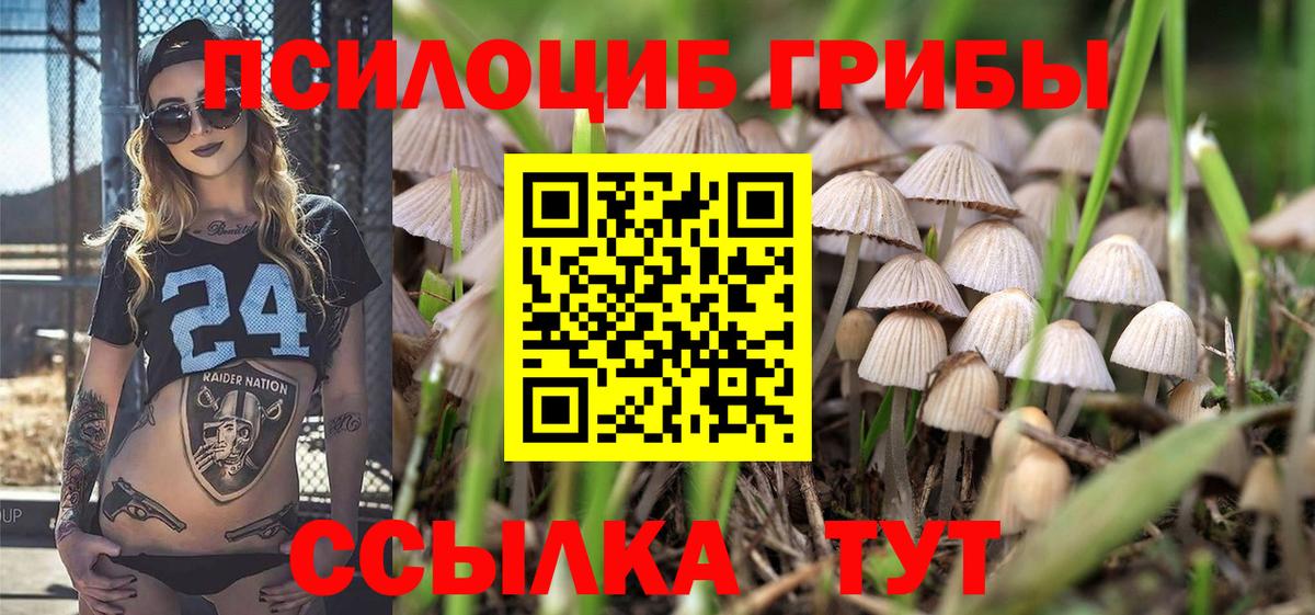 Галлюциногенные грибы ЛСД  Вход с VPN  Псилоцибиновые грибы прущие грибы  Кириши 