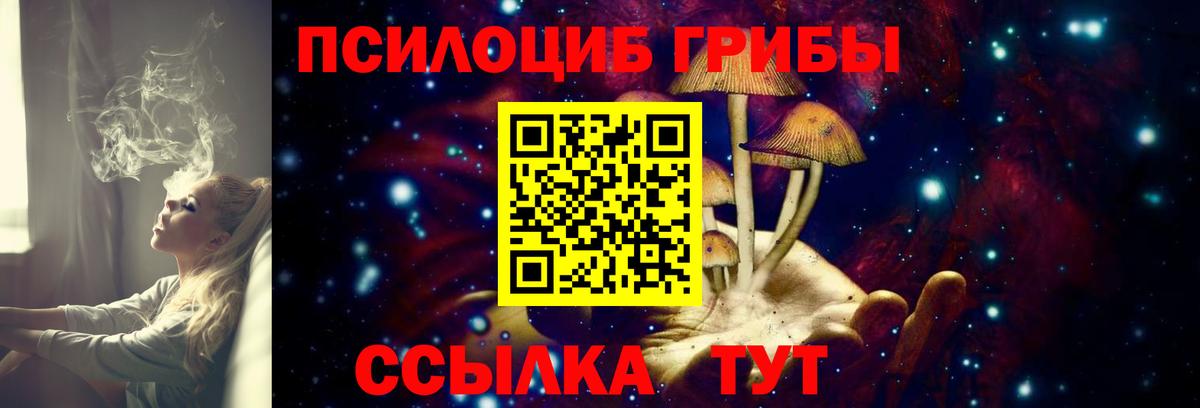 Псилоцибиновые грибы мицелий Кириши